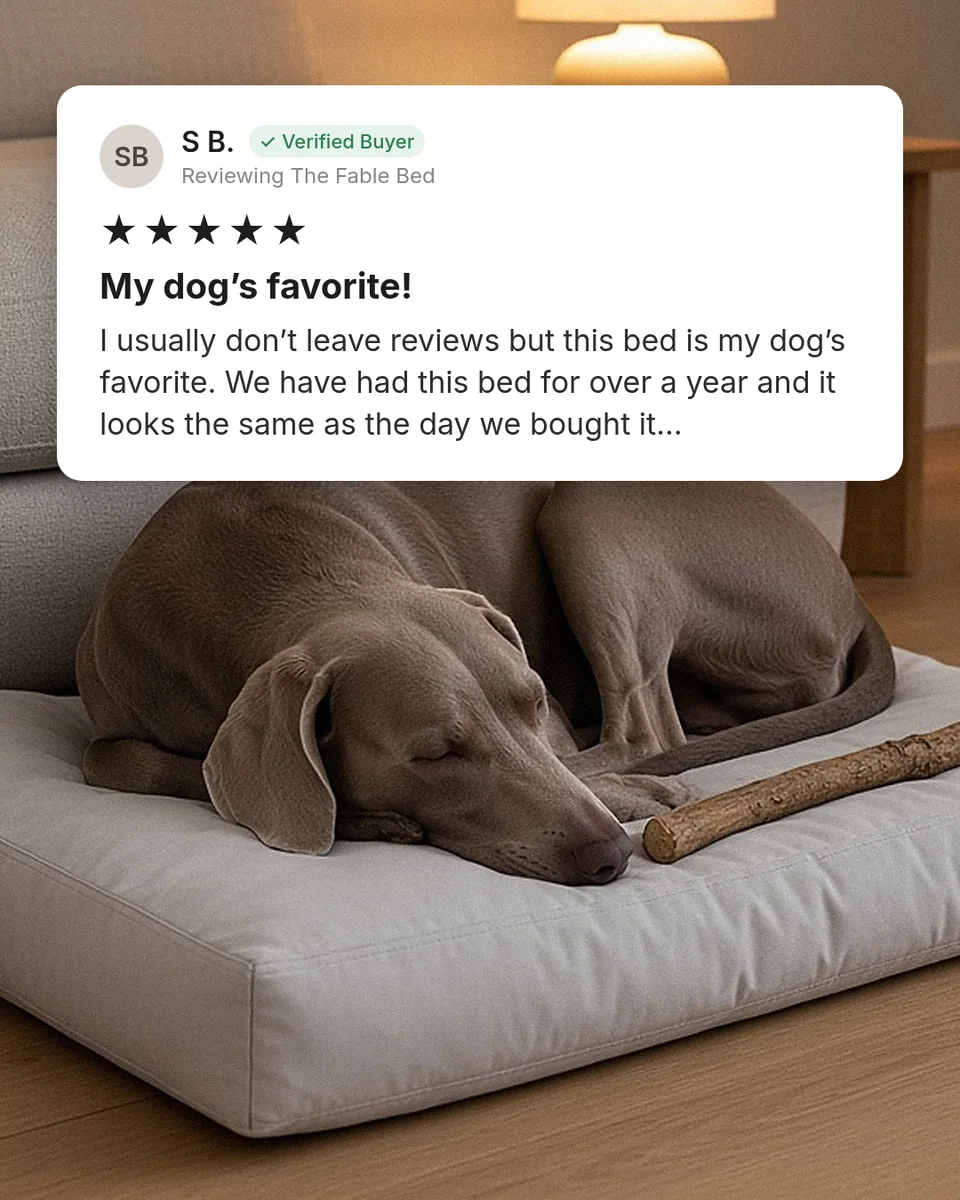 Static ad design featuring Fable The Fable Bed